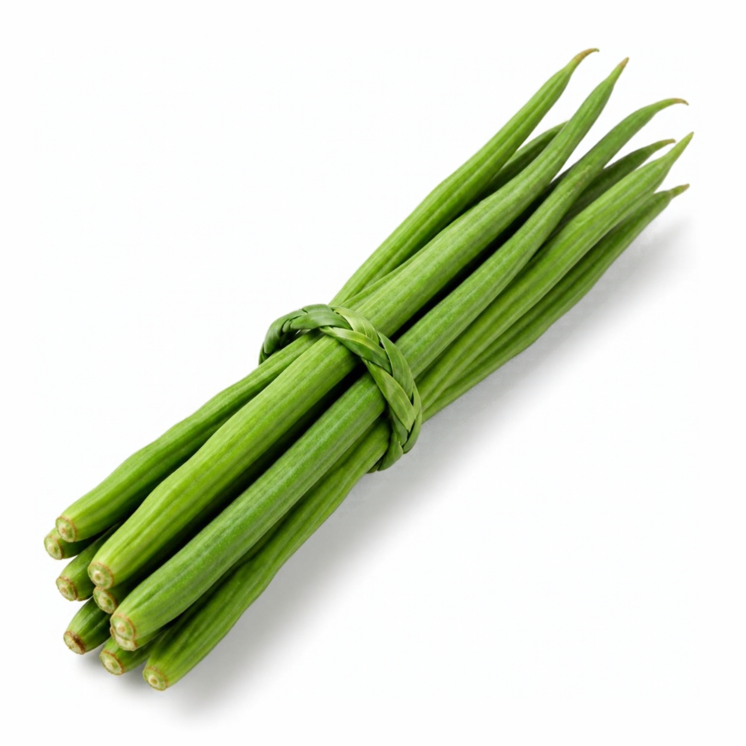 Drumstick for exports