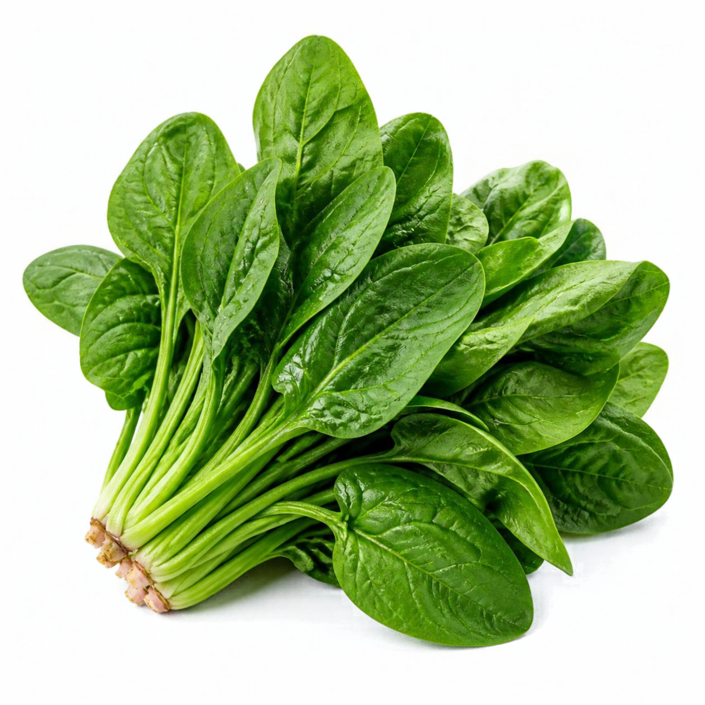 Spinach (Palak) for exports